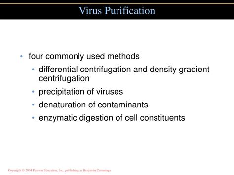 Virus Purification Process 的图像结果
