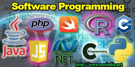 Software Program 的图像结果