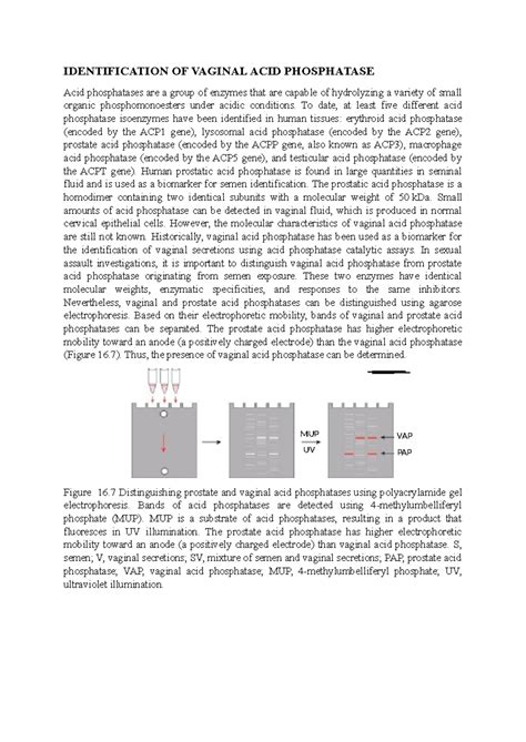 Identification OF Vaginal ACID Phosphatase - IDENTIFICATION OF VAGINAL ...