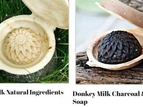 At Rs 499 Per 100 Gram, Donkey Milk Soap Hogs The Limelight At Organic ...