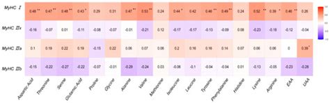 Effects of Muscle Fiber Composition on Meat Quality, Flavor ...