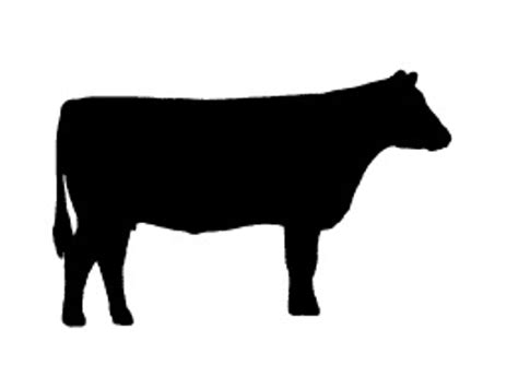 Buncombe County 4-H Kiwanis Calf Chain | Silhouette clip art, Animal paintings acrylic ...