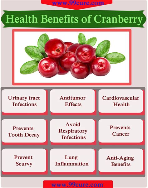 Cranberry Herbal Supplements Benefits at Lindsey Watson blog