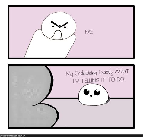 Image result for Programming Error Why Not Meme