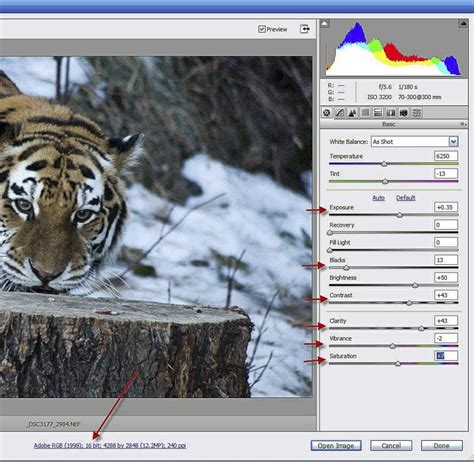 Image result for Post-Processing Tutorial in Photoshop