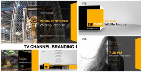Image result for Channel Program Branding Graphics