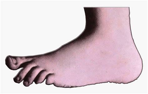 Image result for Monty Python Animation Stomping Feet