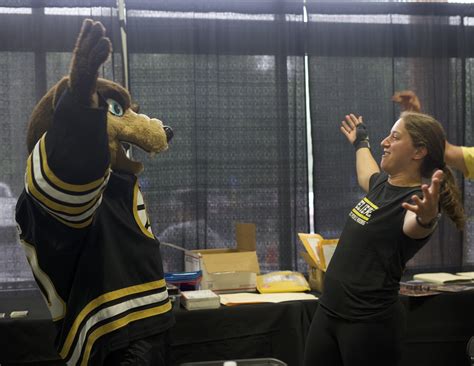 Photo Gallery — Northeast Sports Card Expo