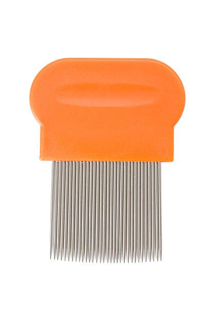 Image result for Nit Comb
