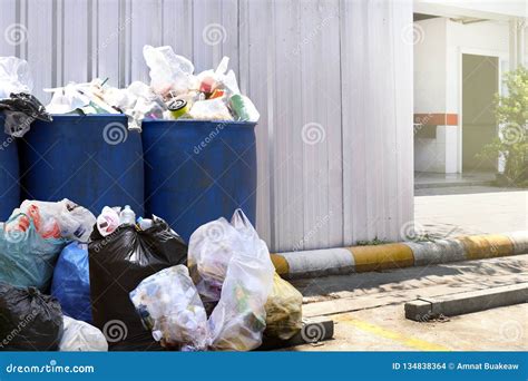 Waste Pile 的图像结果