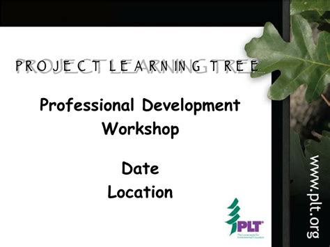 Image result for Project Learning Tree Activities