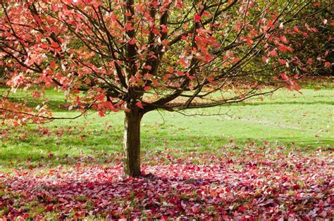 34 Facts About Autumn Reeser - Facts.net