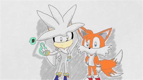 Image result for Silver Spring Tails