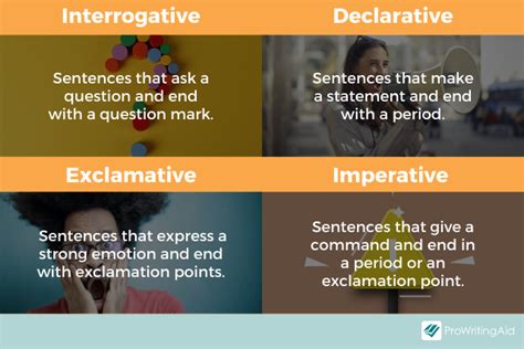 Image result for Interrogative Sentence Types