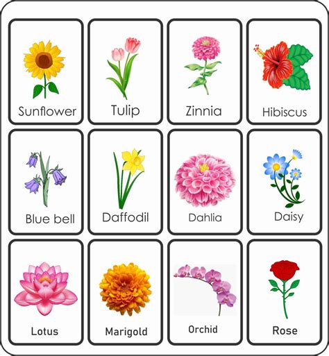 Image result for Flower Matching Game Printable