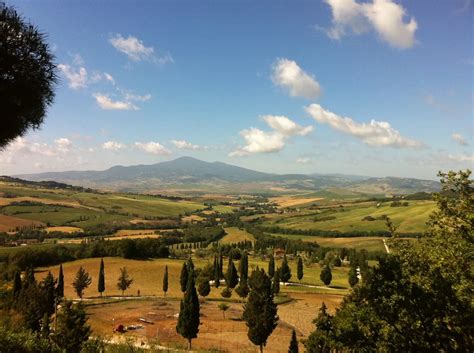 Image result for Python Siena