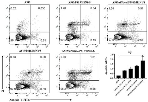 Transcriptomic Profiling of Mouse Mast Cells upon Pathogenic Avian H5N1 ...