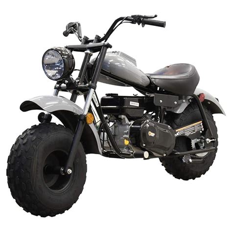 M Massimo Motor Warrior200 196CC Engine Super Size Mini Moto Trail Bike ...
