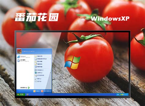 How To Install Windows XP on Microsoft Virtual PC - techinfoBiT