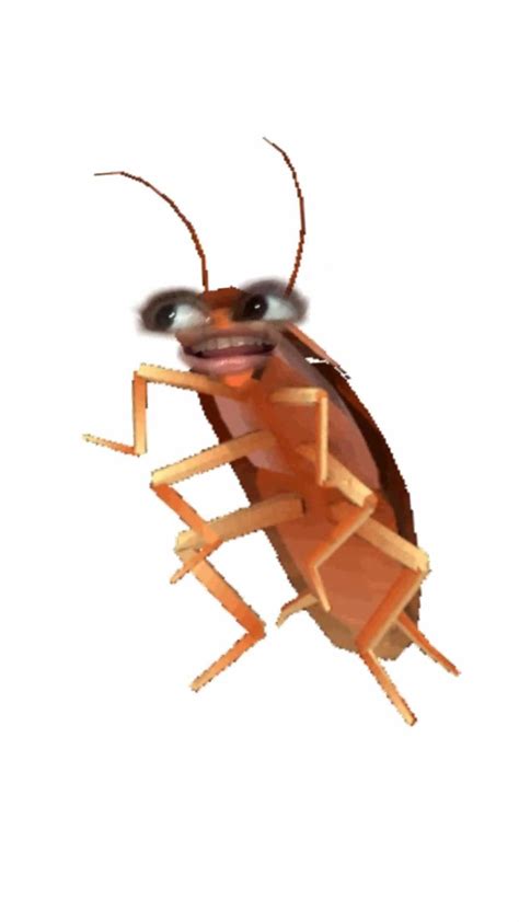 Image result for Bug Compilation