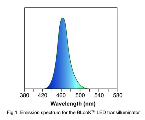 Blook LED Transilluminator (Blue Light LED transilluminator ...