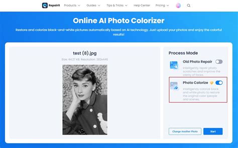 Picture Colorizer 的图像结果