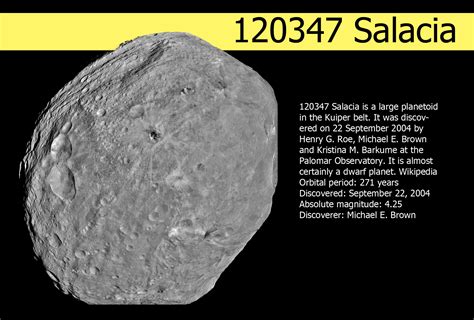 Bildergebnis für salacia