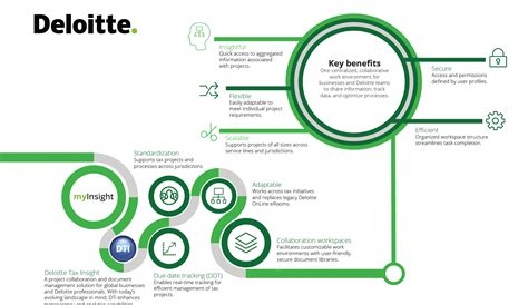 Deloitte Project Management 的图像结果