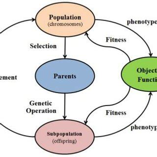 Image result for Evolutionary Algorithms