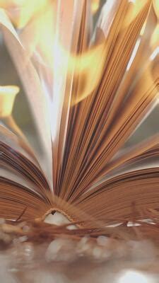 Image result for Animation Book Front