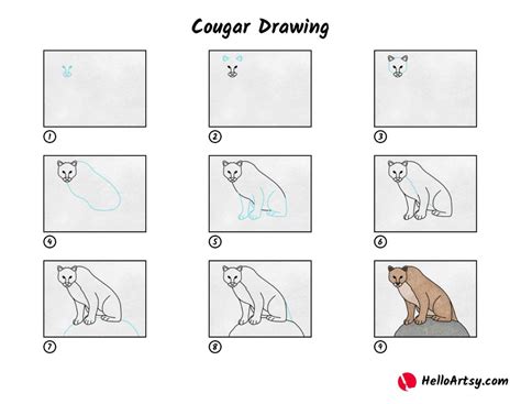 Cougar Drawing - HelloArtsy