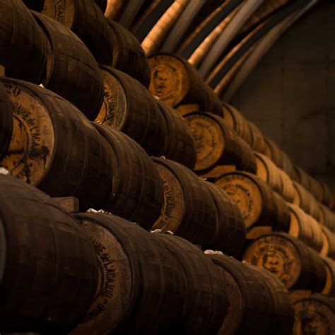 10 Different Types of Rum You Should Know
