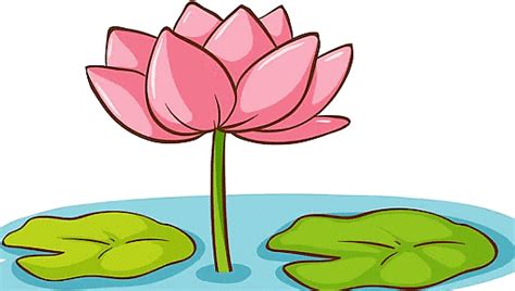 The Valley of Flowers - 2 Class 4 Worksheet EVS Chapter 11