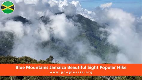 Visiting Blue Mountains, Jamaica: Travel Guide & Tips – AsiaWorldTour.com