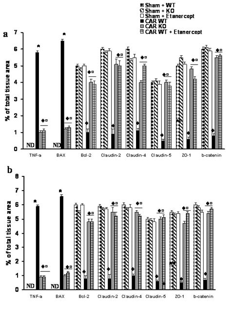 Image result for Bio-Rad Image Lab Densitometry