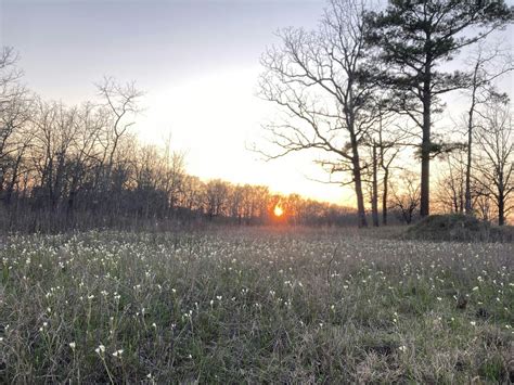 Native Plant Walk, 331 Clinton Rd, Conway, 27 April 2024 | AllEvents