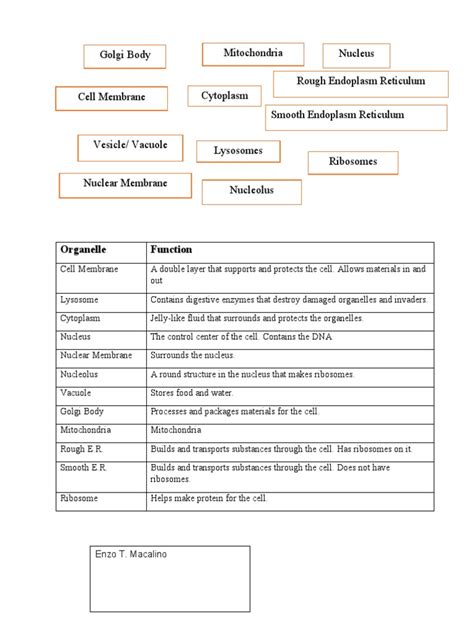 Image result for Cell Function Table