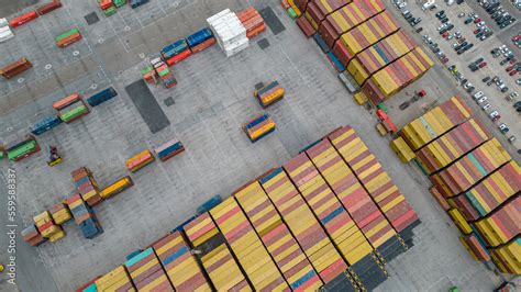 Import 的图像结果