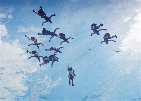 Raining Frogs Magnolia