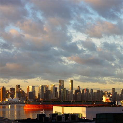 Image result for How to Use a Bug Tracking System