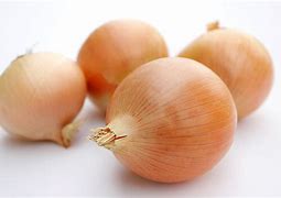 Onion 的图像结果