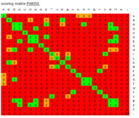 Dynamic Programming Bioinformatics 的图像结果