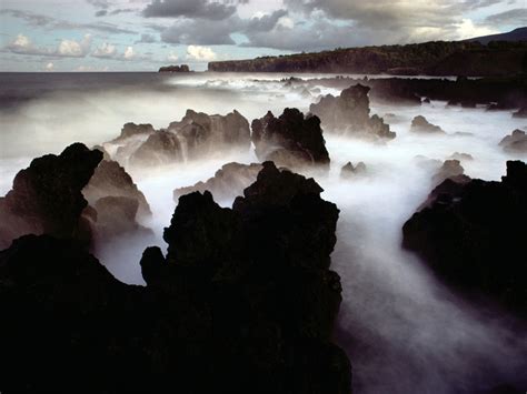 Coast 的图像结果