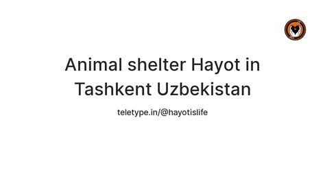 Animal shelter Hayot in Tashkent Uzbekistan — Teletype