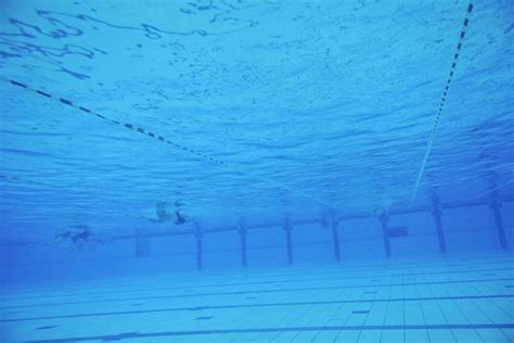 Swimming Pool Underwater 的图像结果