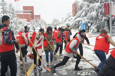 山东大学组织开展校园扫雪除冰劳动教育活动-媒体看山大