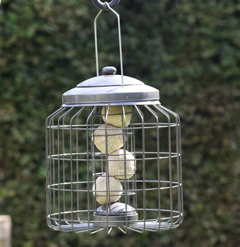 Squirrel Proof Suet Feeder
