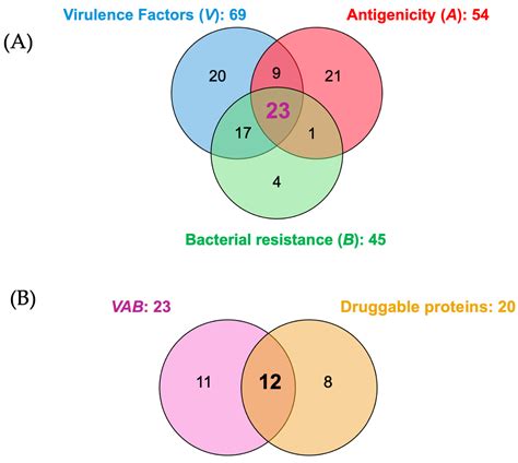 From Proteome to Potential Drugs: Integration of Subtractive Proteomics ...