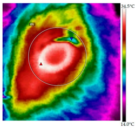 Effects of Short Transport and Prolonged Fasting in Beef Calves