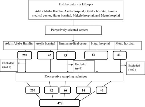 Image result for Sampling Element